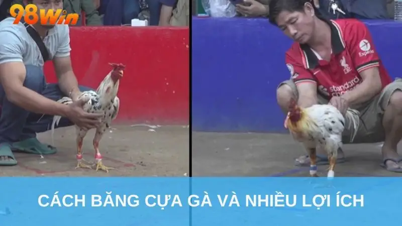 Cách băng cựa gà và nhiều lợi ích