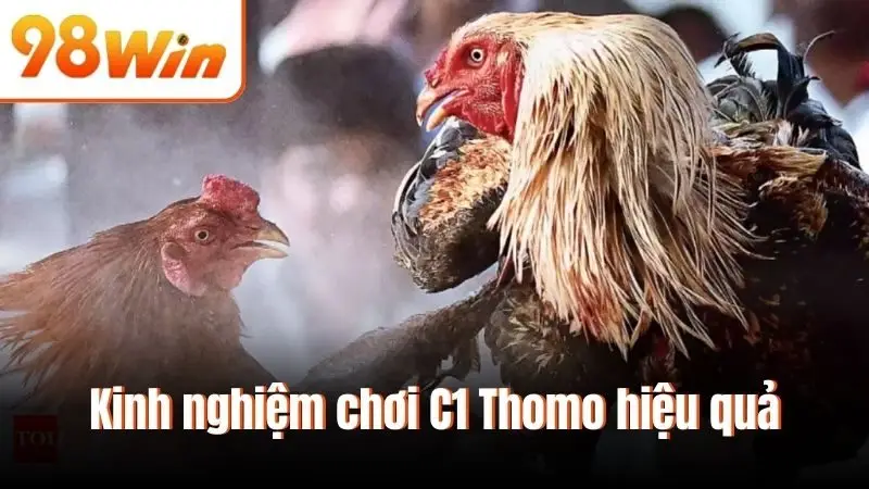 Kinh nghiệm chơi C1 Thomo hiệu quả