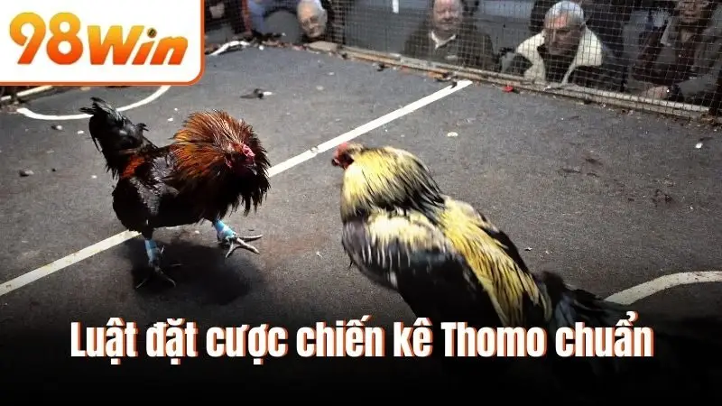 Luật đặt cược chiến kê Thomo chuẩn