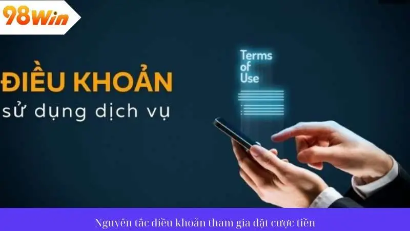 Nguyên tắc, điều khoản khi tham gia cược tiền