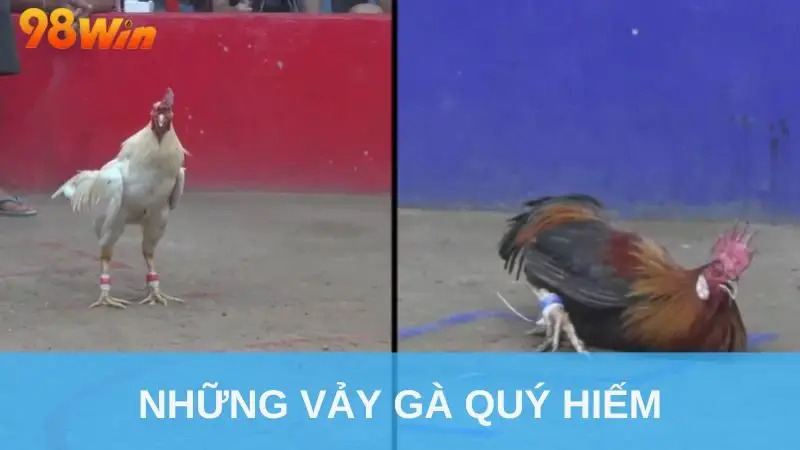 Những Vảy Gà Quý Hiếm