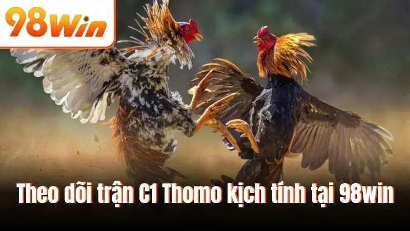 Theo dõi trận C1 Thomo kịch tính tại 98win