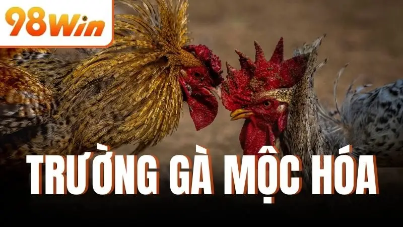 Trường Gà Mộc Hóa