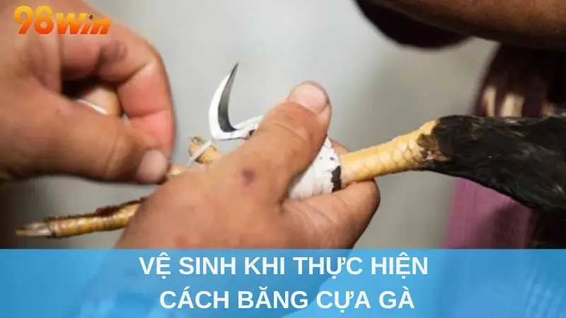 Vệ sinh khi thực hiện cách băng cựa gà