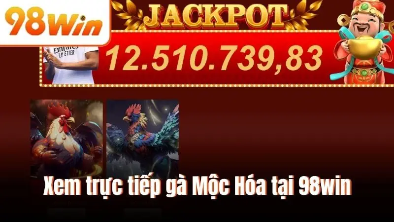 Xem trực tiếp gà Mộc Hóa tại 98win